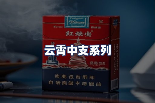 云霄中支系列